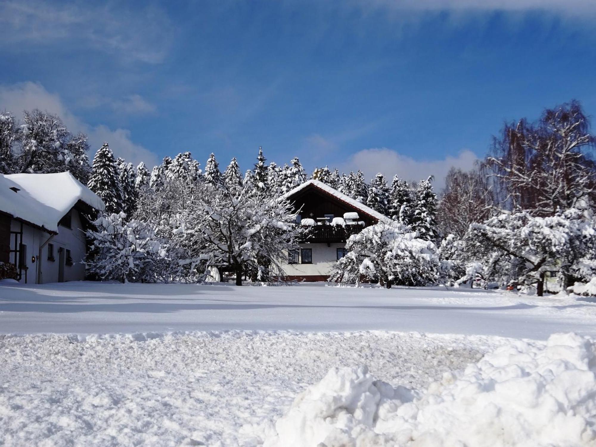 Holiday Home In Lossburg Near The Ski Area Buitenkant foto